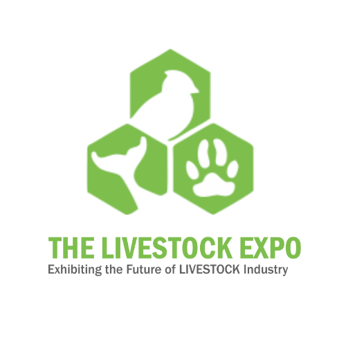 the livestock expo